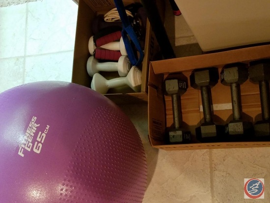 (2) Body bars, hand weights, (2) exercise balls