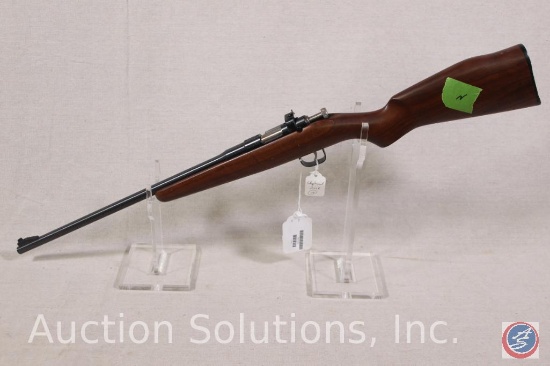 Rogue Rifle Co. Model Chimpmunk 22 S-L & LR Rifle Child's first rifle. Ser # 13785