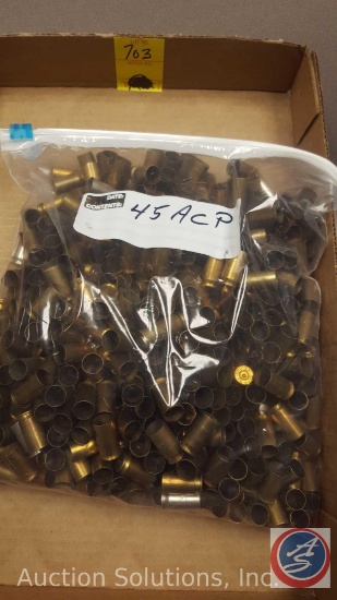 .45 ACP empty brass