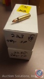 SP 40 grain 223 ammo (50 rounds) (SOLD 2x THE MONEY)