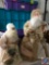 Two Table Top Vintage Santa's Both with Beige Robes One Approx. 2 ft. Tall, The Other 3 ft. Tall in