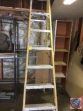 8ft step ladder