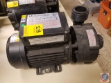 LX Spa Circulation Pump (Model WTC50M)