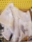 (10) White Youth Practice Jersey's Assorted Sizes