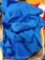(13) Mizuno Royal Blue Shorts in Assorted Sizes