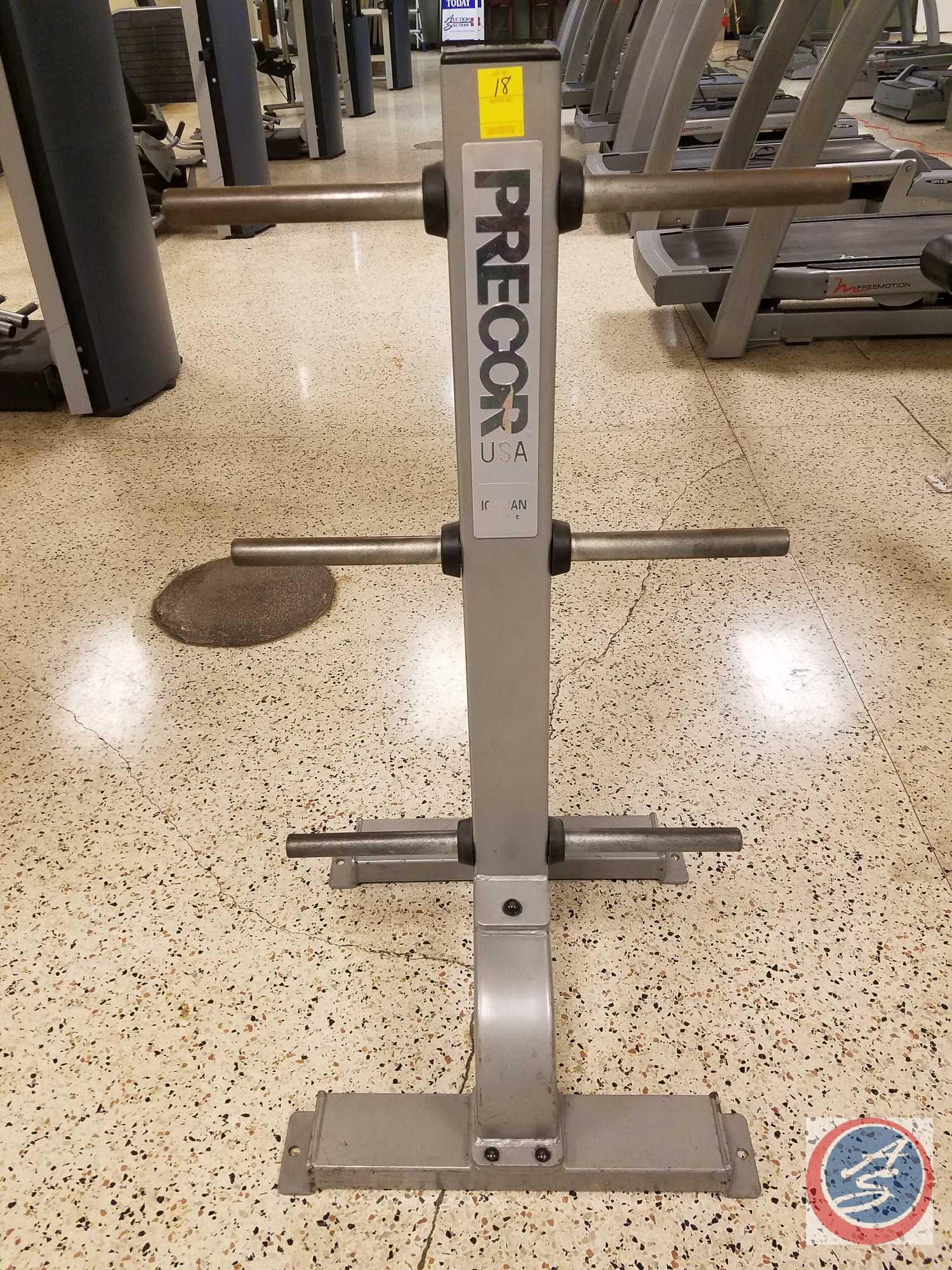 Precor 6 Arm Vertical Weight Plate Tree Proxibid