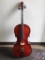Otto Bruchner - 1/2 Size Student Cello