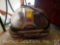 Bissell Spotbot Pet Portable Spot Carpet Cleaner Model 33N8 14055C