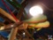 (2) Large Wood Fish {{LIGHT FIXTURE IS PART OF LOT 223. IF YOU PURCHASE THE FISH YOU MAY NOT REMOVE