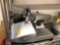 Hobart Meat Slicer Model HS6N
