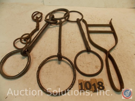 (5) Misc. bits including vet bit - (3) solid bar - (1) wicked serrated Snaffle