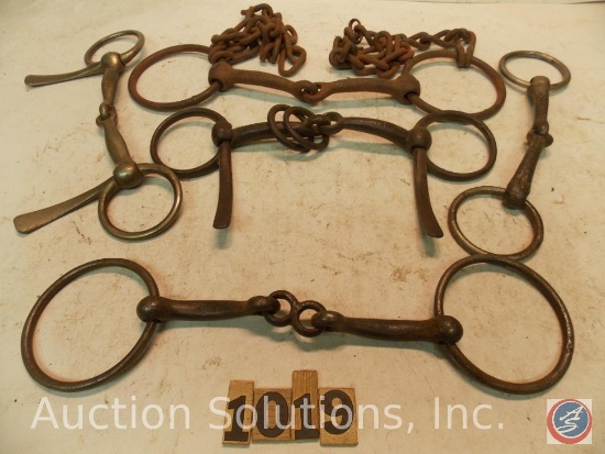 (5) Misc. bits jointed Snaffles one with chain - one with center link - one with rings - one half