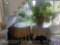 Large Potted Fern Plant, (2) Display Tables 30