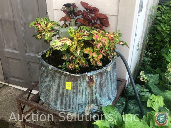 Copper Wash Tub w/ Flowers Growing {{DUMPING OUT POTS ON PROPERTY IS PROHIBITED}}