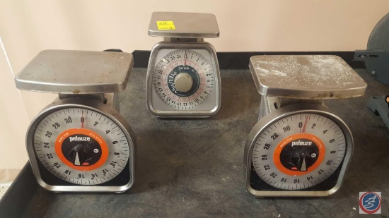 (2) Rubbermaid Pelouze Scales Model No Y32R, Taylor Scale Model TS25KL
