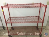 NSF Shelving on Casters 48