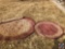 {{2X$BID}} Circular Area Rug Measuring 95