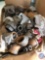(4) Metal Fence or Sign Poles, Box of Metal Metal Elbows and T's, (2) Watts 1/2