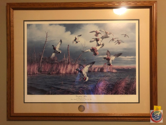 Ducks Unlimited International Framed Print Titled Greenhead Alert Signed by David A. Maass 1988