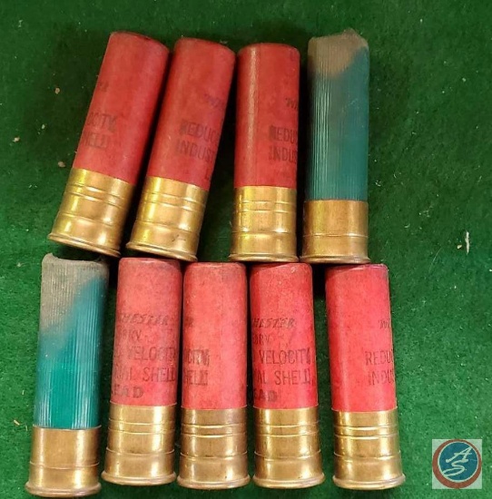 10 ga shells, loose