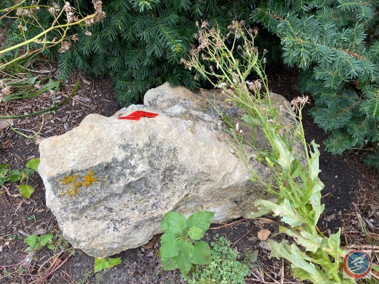 Landscaping Boulder (Approximately 1000 Lbs)