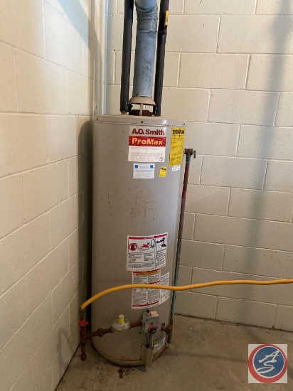 ProMax Automatic Water Heater Model No. FCGT 50