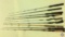 (9) Fishing Rods, Daiwa 1312CG 6'6