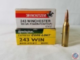 100 Gr. Winchester 243 Ammo