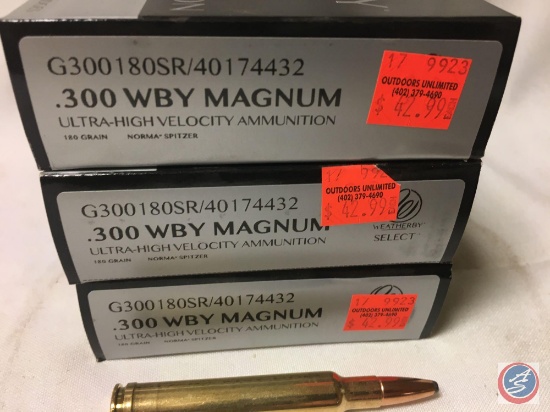 {{3X$BID}} 180 Gr. Weatherby .300 WBY Magnum Ammo (60 Rounds)
