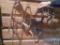 (4) Small Halters