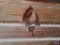 Pair of Spurs