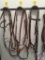 Hackamore Partrade Head Stall and Reins {{COMPLETE}}