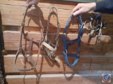 (4) Small Halters