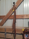 Assorted Styles of Rein and Riding Crops