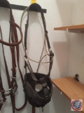 Horse Muzzle
