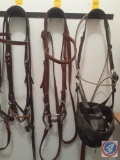 Mylers Toklat Bit and Bridle {{COMPLETE}}