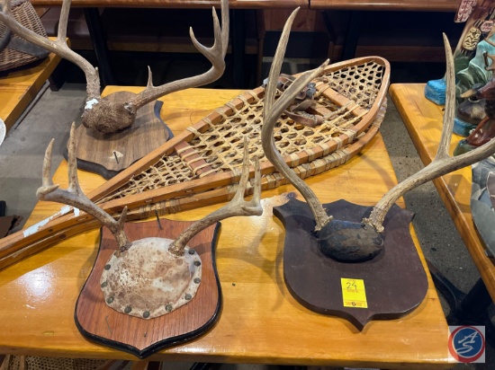 Assorted Sets of Antlers and Vintage Pair of Snow Shoes