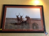 Framed Photograph of Elk Pulling Wagon with Two Men Measuring 64'' X 44''