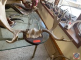 Set of Elk Horns Mounted on Board