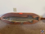 Mounted Taxidermy Northern Pike