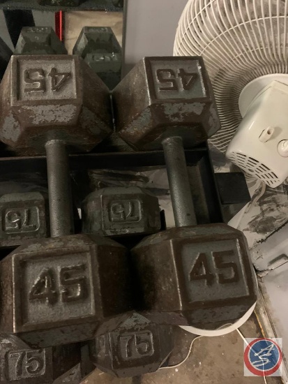 {{2X$BID}} 45 lb Free weights