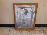 Framed Eagle Picture approx measurement 27X36.