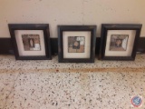 (3) Framed pictures approx measurements are : 10 3/4 X 10 3/4.