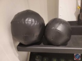 Dynamax American made, leather medicine balls. The smaller ball is 5lbs and the larger is 10 lbs....