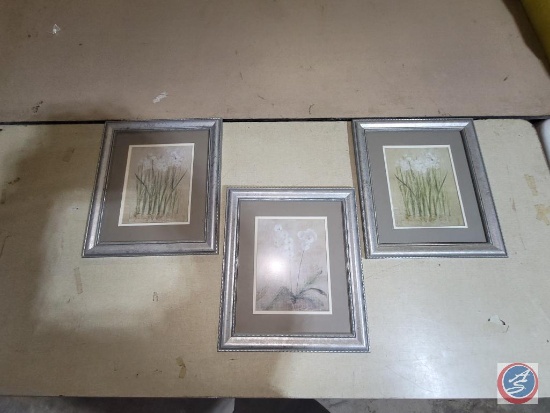 3 framed pictures grass of
