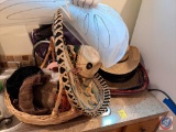 Various different hats including sombrero, cowboy hats, and angel wings,...