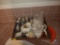 Seashells