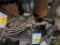 Contents of Shelf: Oxygen Circle Cutter and