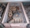 Gear Hobbing Cutters