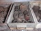 Gear Hobbing Cutters